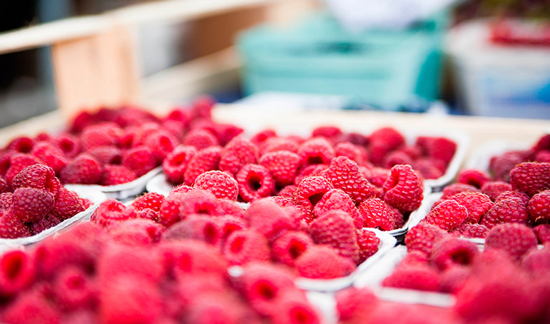 Two Different Style Wall Designs